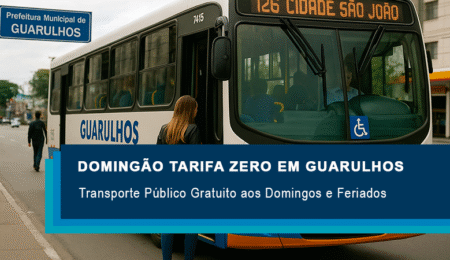 Transporte Público Gratuito aos Domingos e Feriados